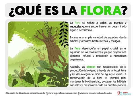 El Jardín de los Deseos ¡Una Sinfonía Colorista de Flora y Fauna Imaginaria!